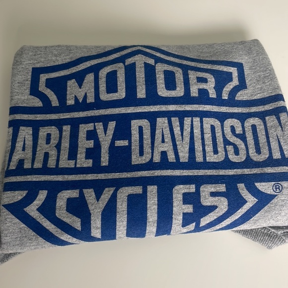 Harley-Davidson women V-neck Gray tee with Blue Graphic- size Large - Picture 9 of 9